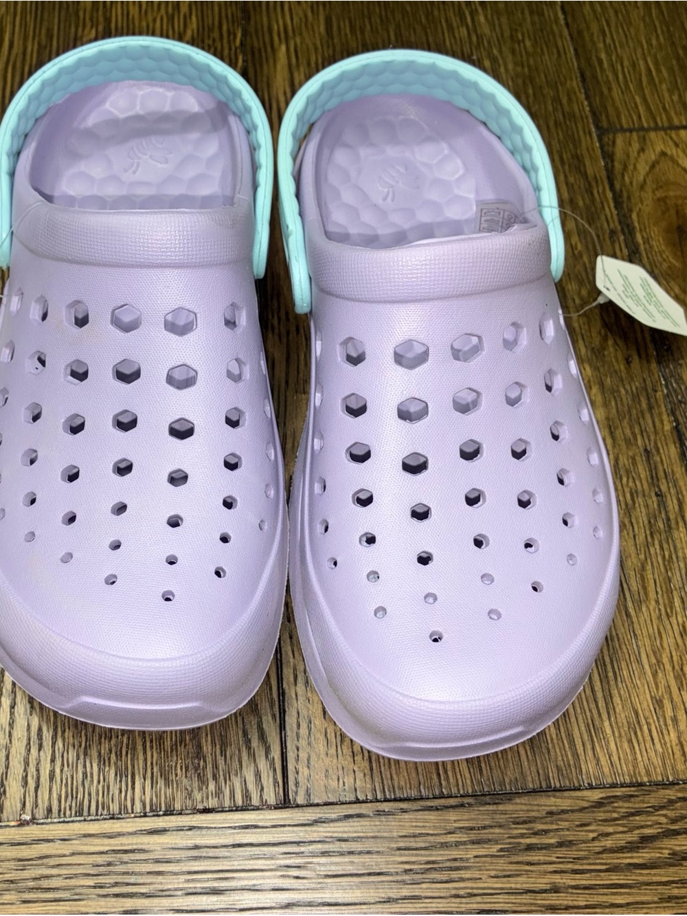 Kids Lavender Clog Sandal with Mint Heel Strap